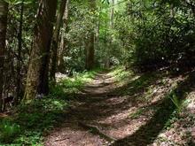 gabes mountain trail