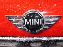 Wet MINI