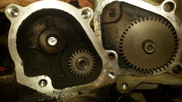Bummer, the PTO case was dry.  So that's the noise, even though it sure sounded like it was coming from the other side.  The gears look pretty good in this picture but...