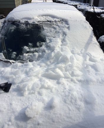 Albert covered in snow and ice...