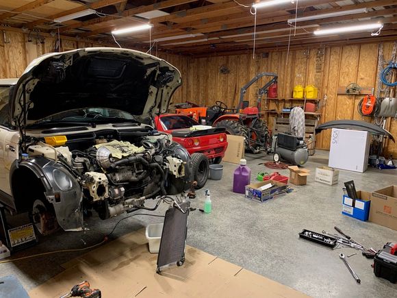 a bonus photo - Desire is currently indisposed 