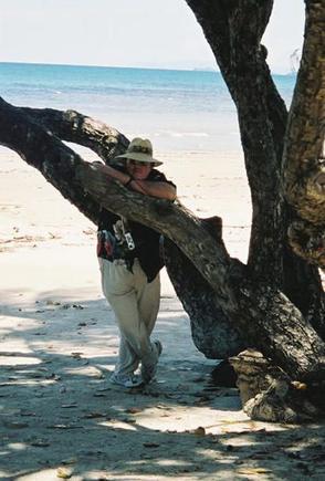 Lee on the shore of the Coral Sea north Queensland Australia