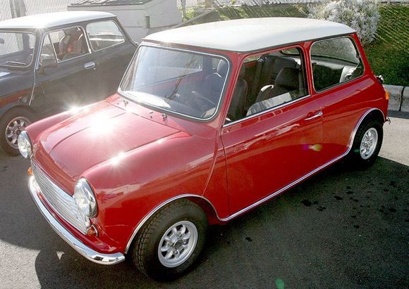 mini 30