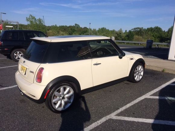 Pepper white 04 Mini S