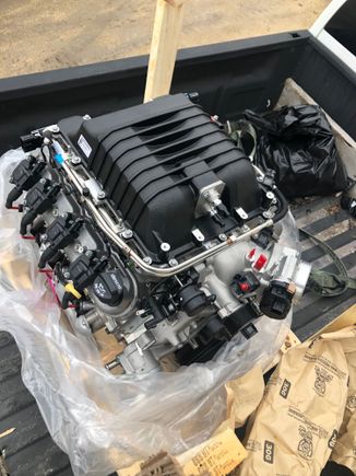 New LSA just delivered 😍