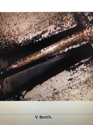 Engine oil under the v-berth