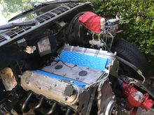 Definitely the exact opposite of throwing a hotdog down a hallway!