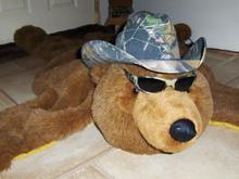 fake bear skin rug soon to be replaced with a REAL one. I named him Fred