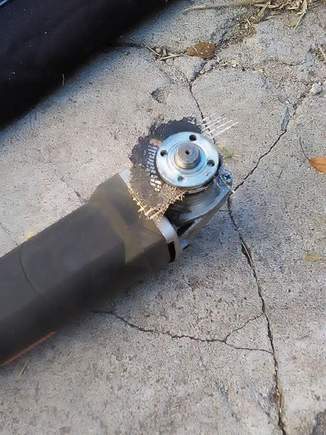 Damn thing tried to kill me!