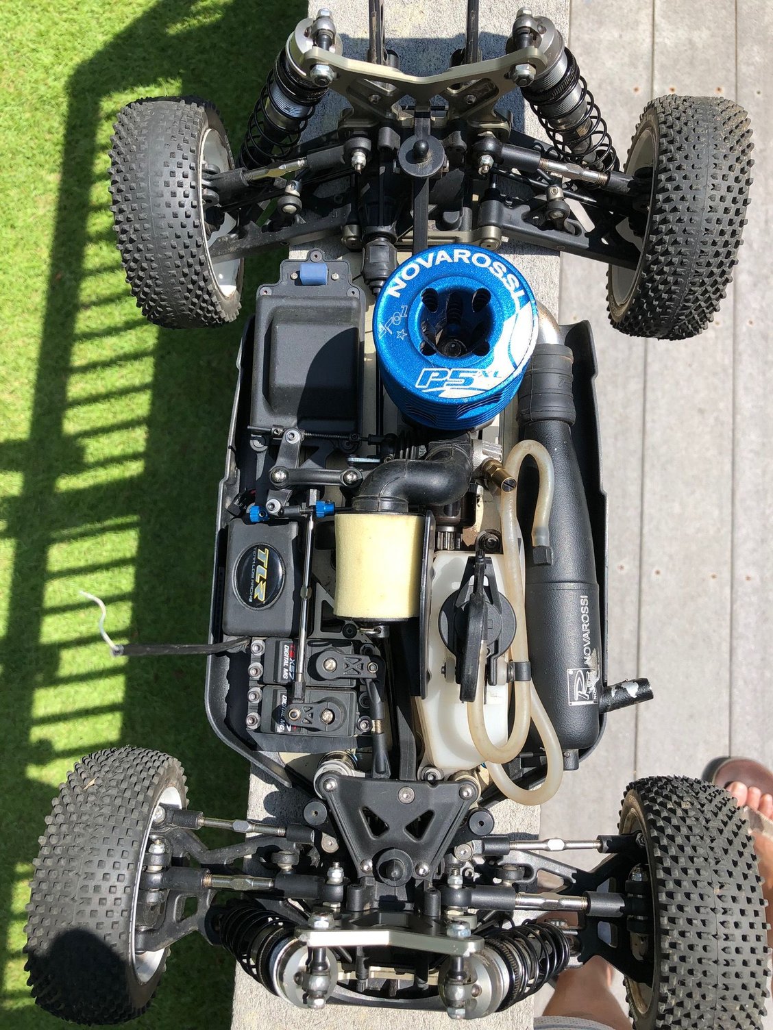 tlr 4.0 e buggy