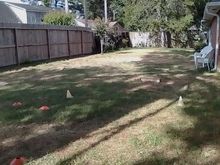 Back yard MT course extreme drought condx