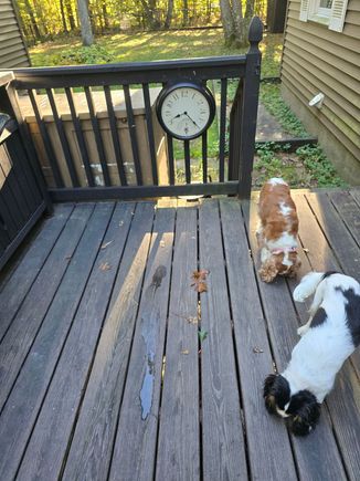 My timer 