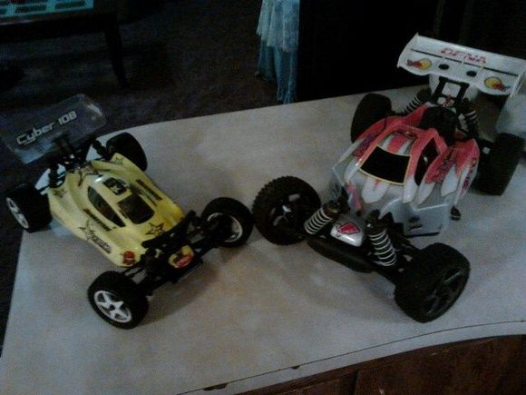 the pair