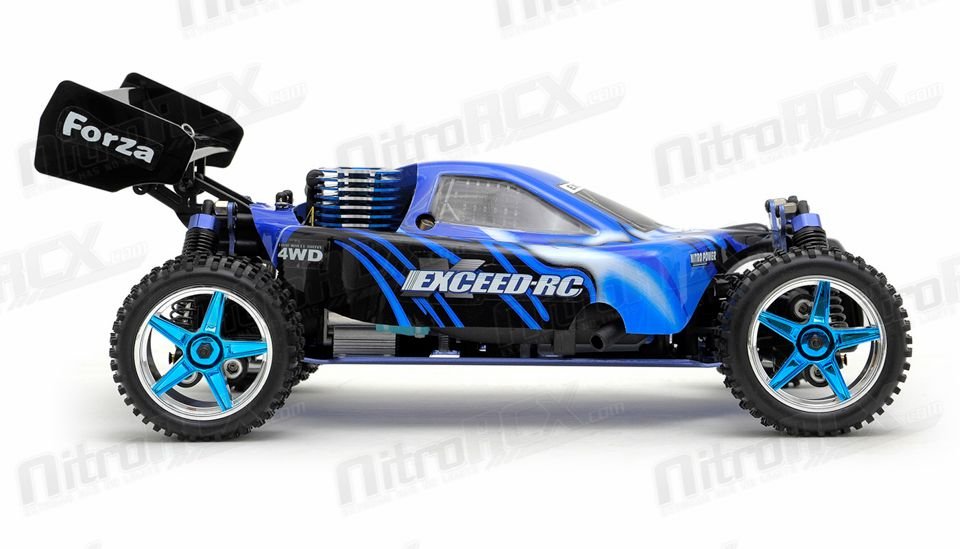 Exceed rc best sale forza top speed