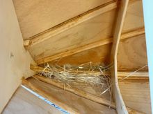 I wet the keel area with epoxy, then I added fiberglass strands, then more epoxy on top.