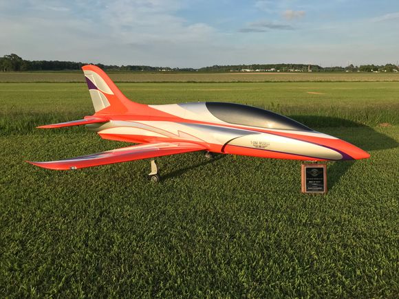 T-3 basking in the late afternoon sun...