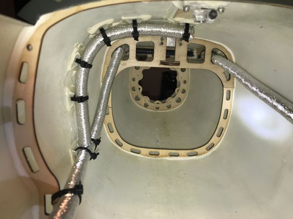 View looking back towards tail.