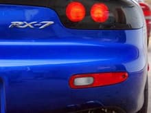 Sexy Rear on the Blue Devil...new tails coming soon