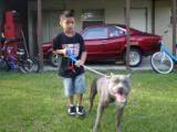 my son and my dog 3 years ago