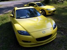 2007 BOTD Lightning Yellows (me and marvin_rock)