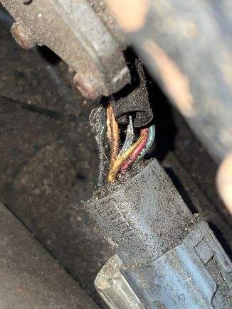 So I found this,one of the plugs connecting to the omp u think this is the culprit