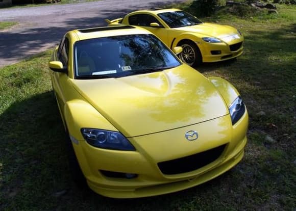 2007 BOTD Lightning Yellows (me and marvin_rock)