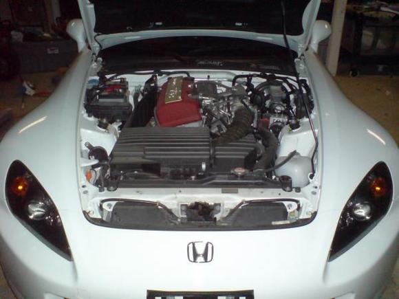 The day i brought her home!!!!!!!!