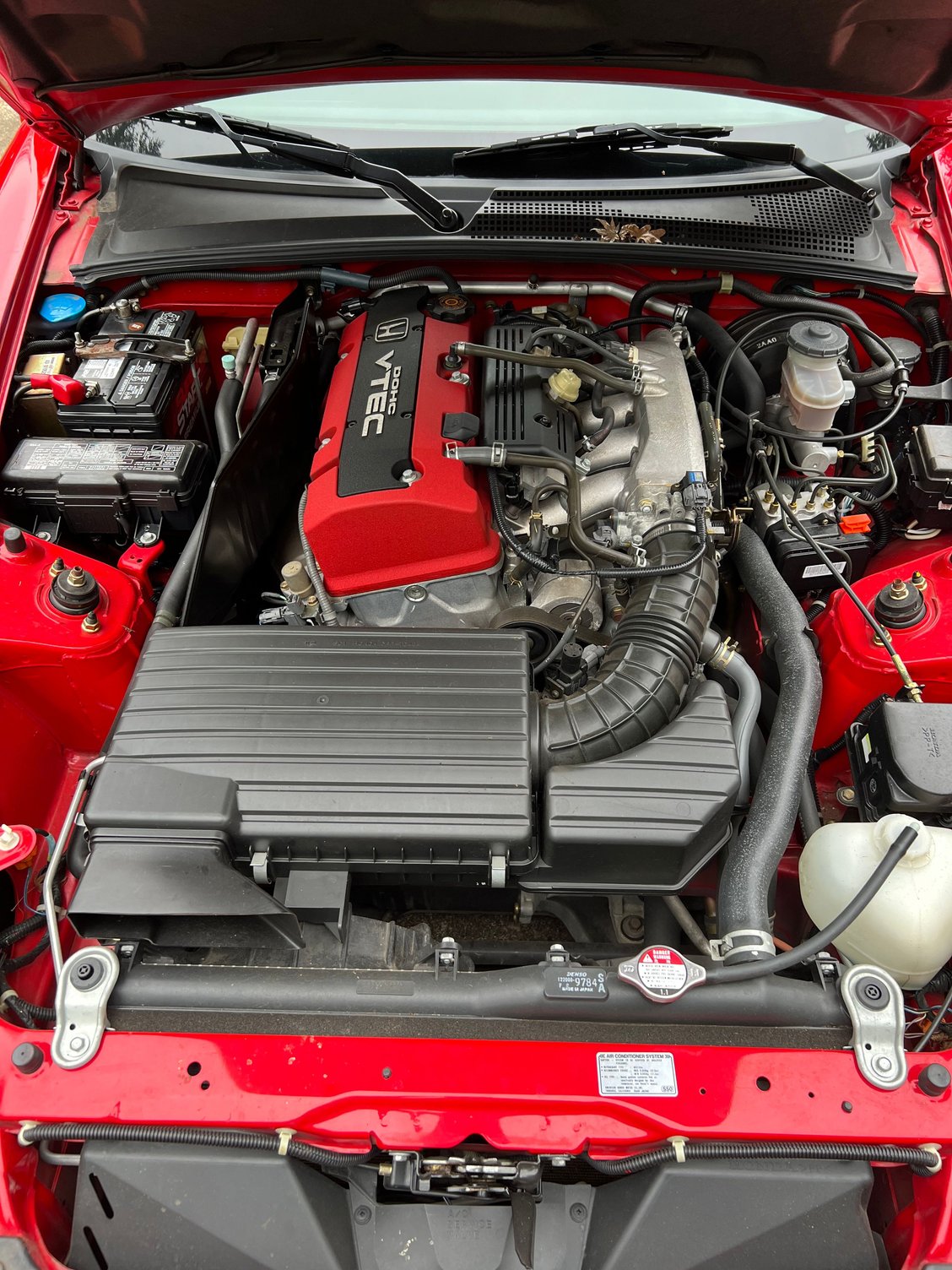 Engine teaser until I can wash and detail this weekend!