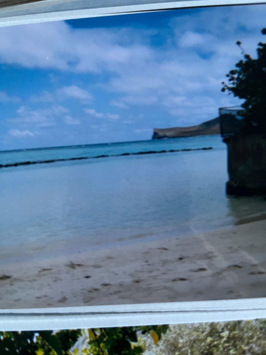 Some pics of the Anderson Estate ( estate used for original Magnum P.I. show) while I was in the tidal pool.