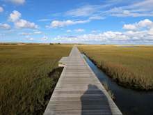 Boardwalk to access another boardwalk to get to Boardwalk Beach