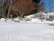 Tops of a picket fence