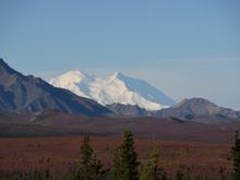 Denali