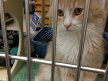 May 22, 2017.  Honey.