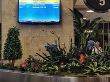 I am back to Orange County in California: land of plastic people and plants.  I had my house inspection in Loveland, Colorado on Friday.  I'm really looking forward to that new life.