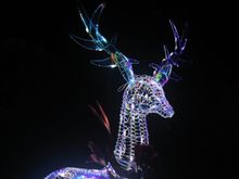 Nice colors on the reindeer.