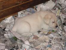 DSC00021.JPG