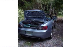 Trunk1.JPG