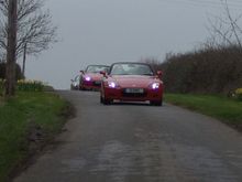 DSC01066x800.JPG