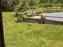 DCP_0005.JPG