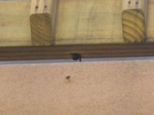 IMG_0574.JPG