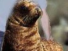 Galapagos4.jpg