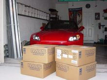 Dsc00974.jpg