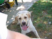 maggie and buster3