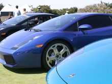 IMG_7378.JPG