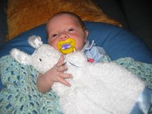 100_0097.JPG