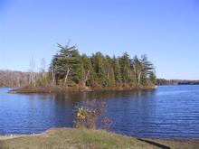 124-2407_IMG (Medium).JPG