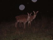 DSCF0014.JPG