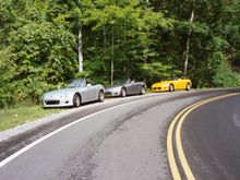 3 Beauties.JPG