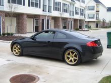 IMG_0772.JPG