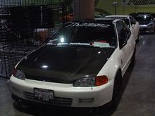 DSC00542.JPG